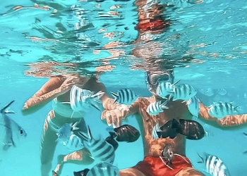 diving at mnemba
